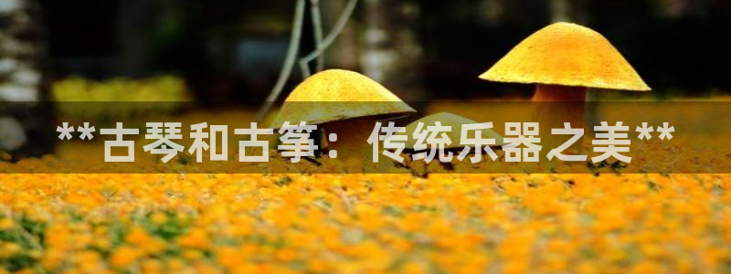 凯发k8娱乐官网最新版本