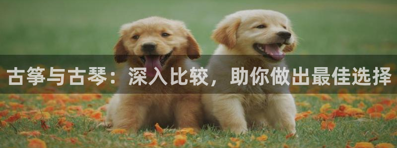 凯发k8娱乐旗舰app下载