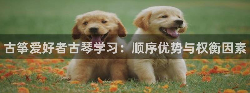 凯发国际网络平台网址