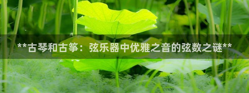 凯发k8官方