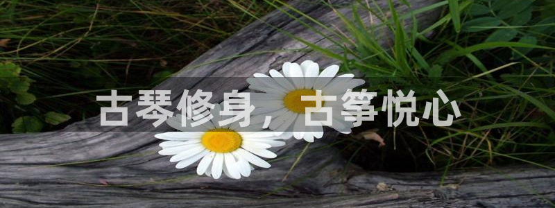 凯发k8旗舰店