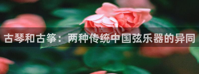 凯发国际是什么投资平台