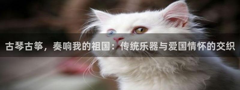 凯发网址多少