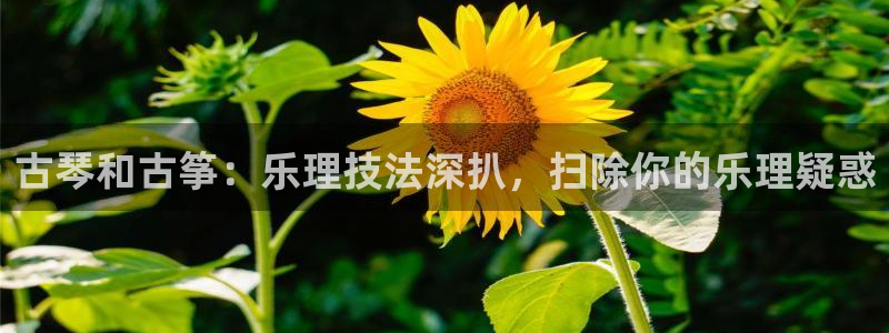 凯发k8娱乐官网入