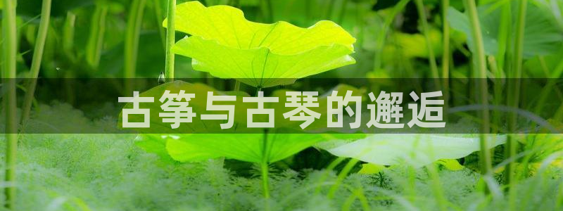 凯发k8ag旗舰厅网址