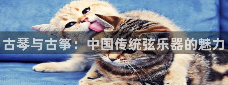 凯发旗舰