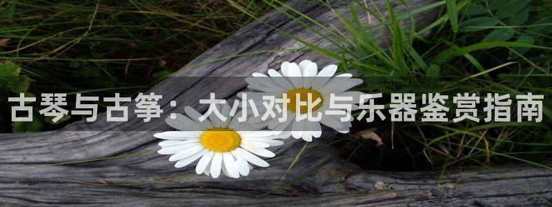 凯发k8国际手机网页