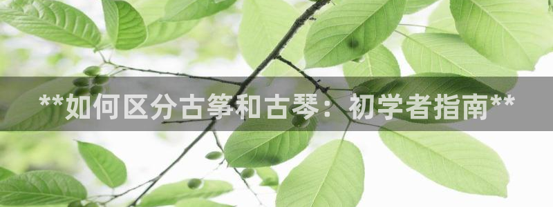 凯发官网下载客户端
