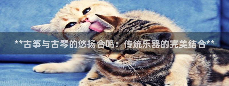 凯发在线官网登录下载