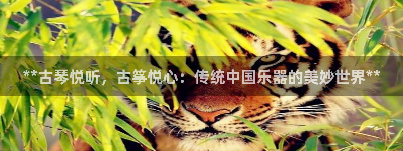 凯发网址登录