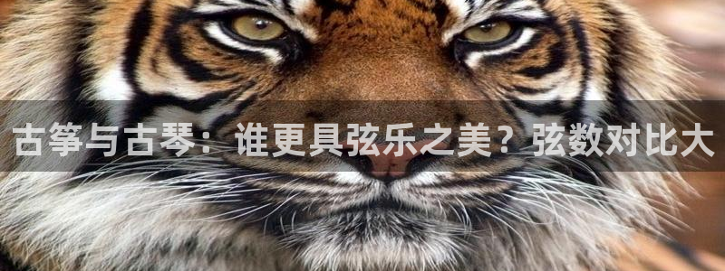 凯发k8是真是假