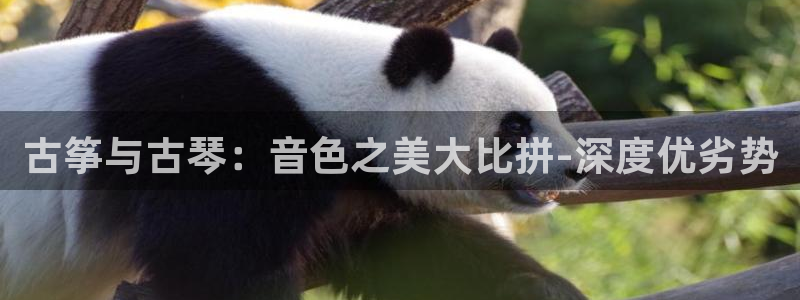 凯发k8国际不能提款了吗