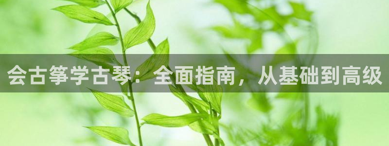 凯发网址登录