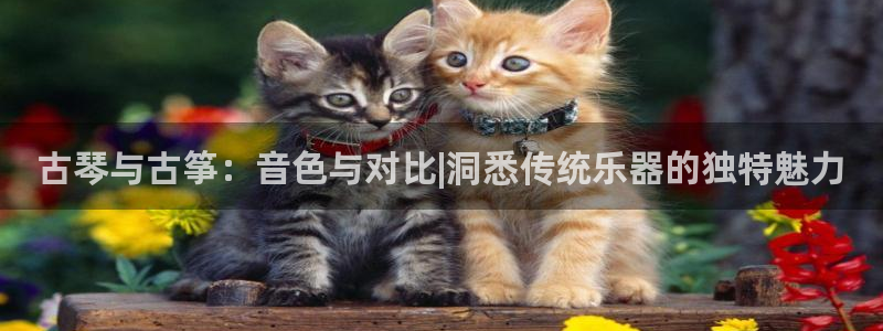 凯发官方手机app