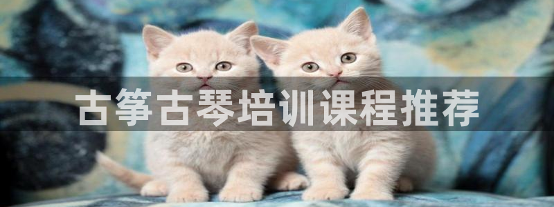 凯发国际平台登录不上