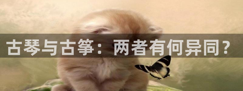 凯发k8国际app