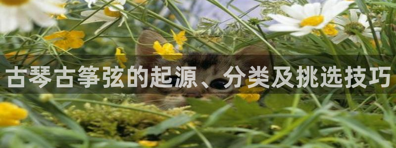 凯发国际可靠送38元