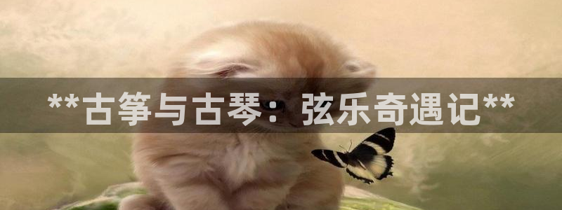 凯发网址直营