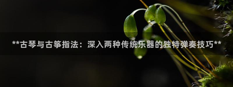 凯发k8娱乐官网最新版本