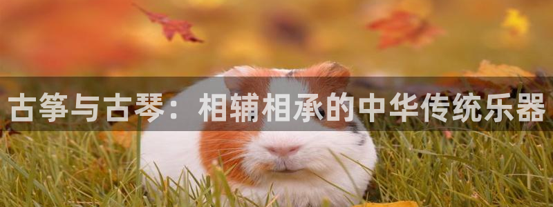 凯发官网地址