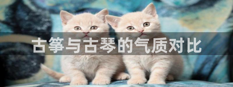 凯发国际是什么