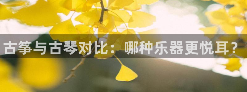 凯发网址多少