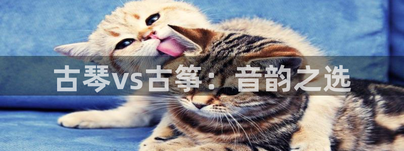 凯发手机唯一