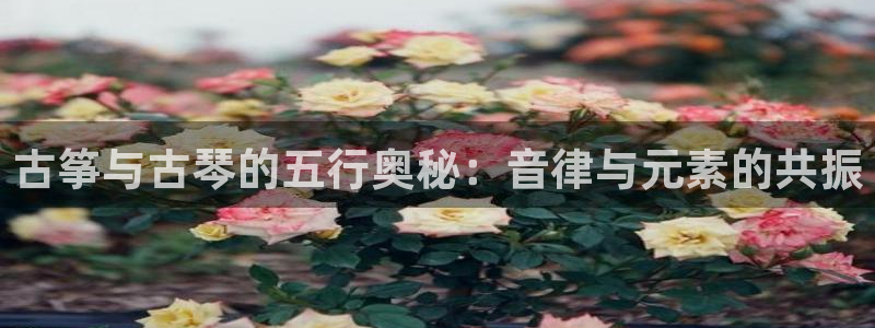 凯发娱乐唯一官网