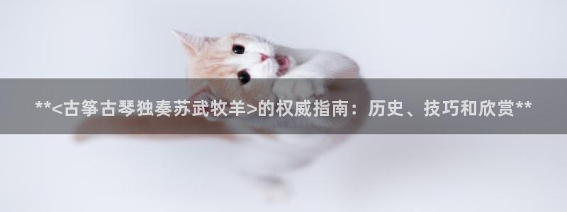 凯发官网|认准kpm