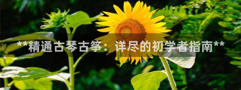 凯发国际网站首页