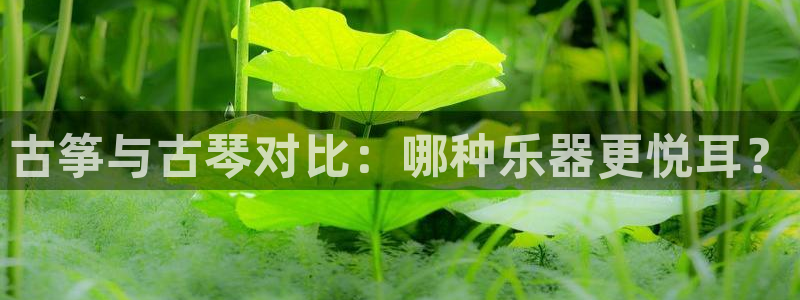 凯发官方手机app