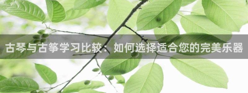 凯发手机官网