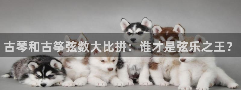 凯发正规网站