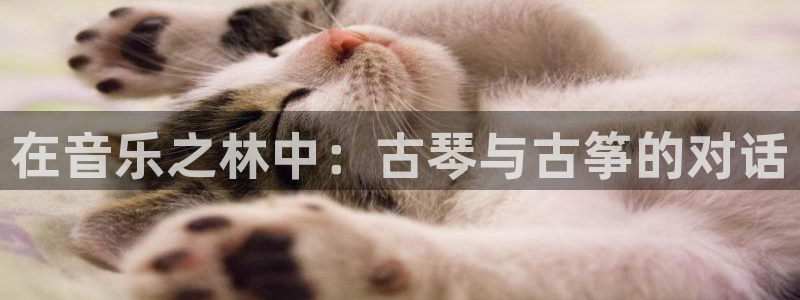 凯发k8555|手机版：在音乐之林中：古琴与古筝的对话