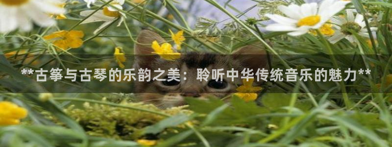 凯发k8ag旗舰厅网址