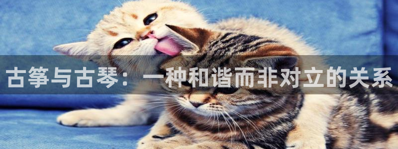 凯发国际k8官网登录：古筝与古琴：一种和谐而非对立的关系