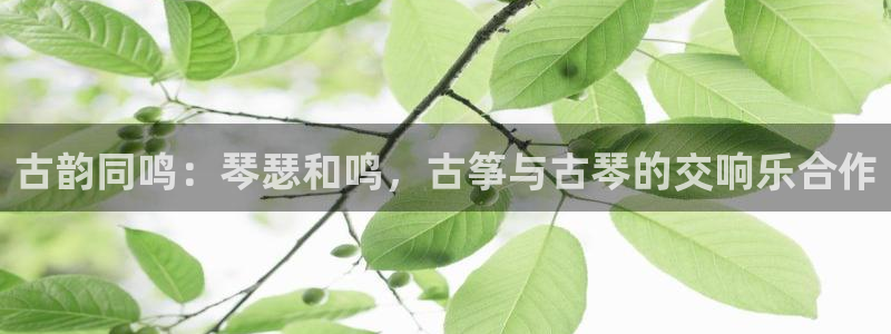 凯发k8国际|首页w来就送38元