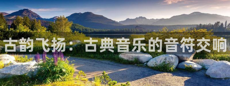 凯发线上app苹果版下载：古韵飞扬：古典音乐的音符交响