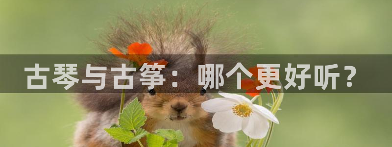 凯发国际可靠送38元：古琴与古筝：哪个更好听？