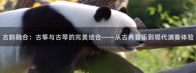 凯发注册app在线：古韵融合：古筝与古琴的完美结合——从古典