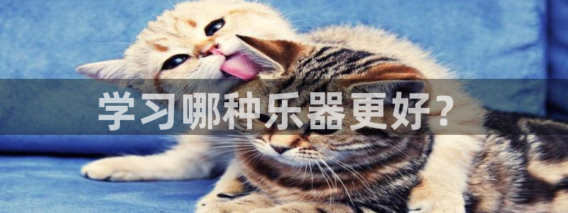 凯发k8娱乐官网入