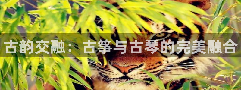 凯发国际网站