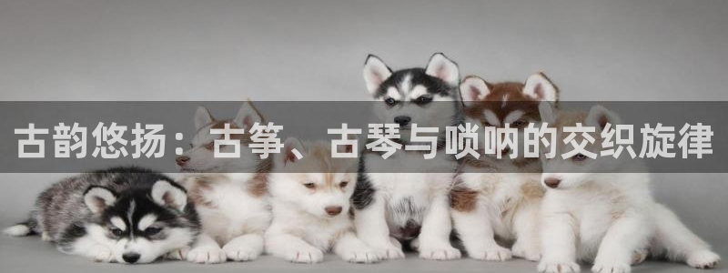 凯发国际是什么