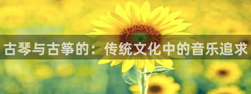 凯发k8国际真人版安全送38元：古琴与古筝的：传统文化中的音