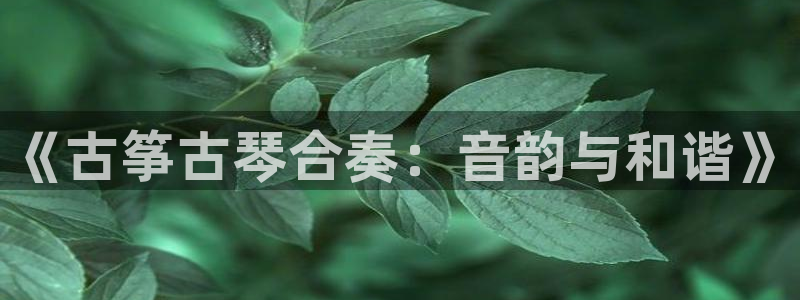 凯发k8网站是多少