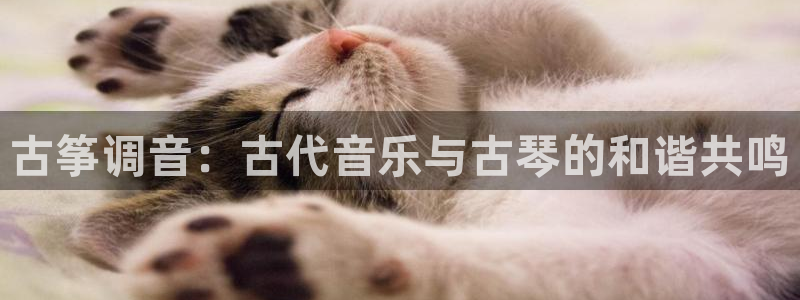 凯发k8ag85856：古筝调音：古代音乐与古琴的和谐共鸣