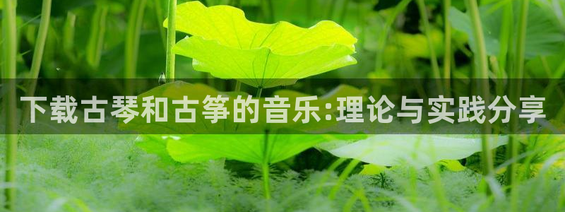 凯发k8娱乐平台能提现吗：下载古琴和古筝的音乐:理论与实践分