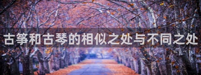 凯发国际平台登录：古筝和古琴的相似之处与不同之处