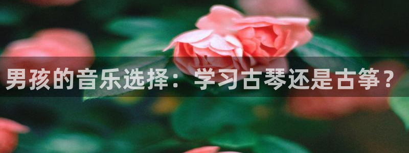 凯发国际怎么赚钱