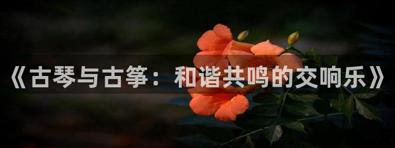 凯发k8娱乐欢迎您：《古琴与古筝：和谐共鸣的交响乐》